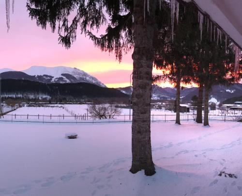 a tree in the snow with a sunset in the background at Chalet dell'Orso in Pescasseroli