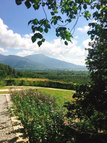 a view of a field with mountains in the background at Ranis Lodge in Kampung Padang Masirat