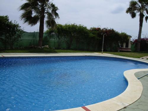 une grande piscine bleue dans une cour avec des palmiers dans l'établissement exclusivo Atico en primera línea de playa, à Vélez-Málaga