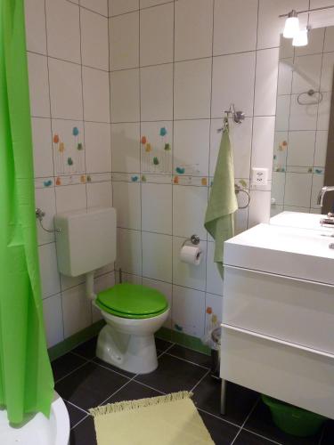 a bathroom with a green toilet and a sink at Les Mouresses in Savièse