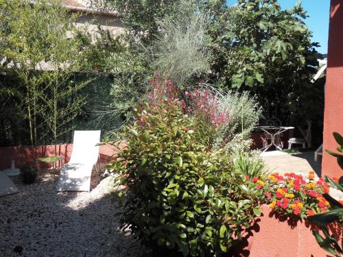 a garden with flowers and plants in a yard at Chambres d'Hôtes de la Grone in Argelès-sur-Mer