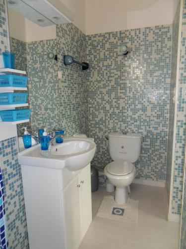 a bathroom with a toilet and a sink at Chambres d'Hôtes de la Grone in Argelès-sur-Mer