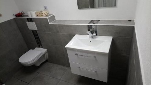 La salle de bains est pourvue d'un lavabo et de toilettes. dans l'établissement Ferienwohnung Witzig Inh Rita Weitmann, à Ingelheim-sur-le-Rhin