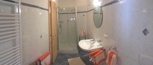 a bathroom with a sink and a shower at Lafreiderhof in Castelrotto