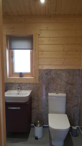 a bathroom with a toilet and a sink and a window at Ruth's Retreat Country Retreat with private hot tub in Shrewsbury