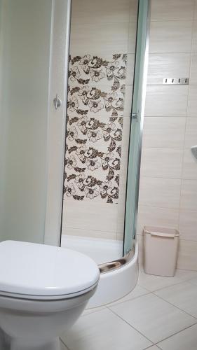 a bathroom with a toilet and a glass shower at Apartamenty Bursztynowe in Dębki