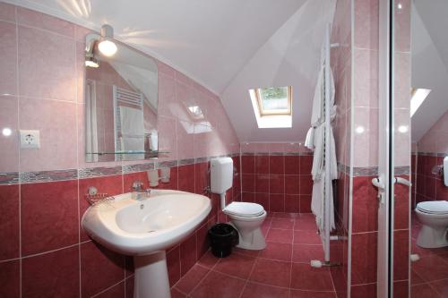 a bathroom with a sink and a toilet and a mirror at Vila Acvila in Sinaia