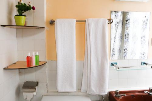 baño con cortina de ducha blanca y ventana en Hotel Lapha, en Katmandú