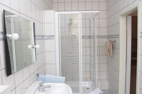 a bathroom with a shower and a sink and a mirror at Weinkeller Wölk in Naumburg