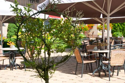 Κήπος έξω από το Hotel Steensel