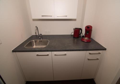 un bancone della cucina con lavandino e frullatore rosso di De Vier Berken 2 a De Koog