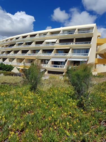 Studio Naturiste "AZUR" Héliopolis C 64