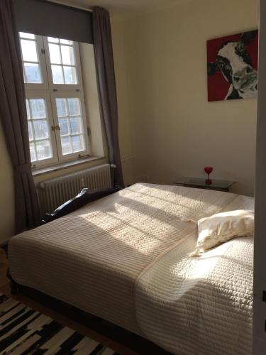 a bedroom with a large bed with a window at trash de luxe in Schleswig