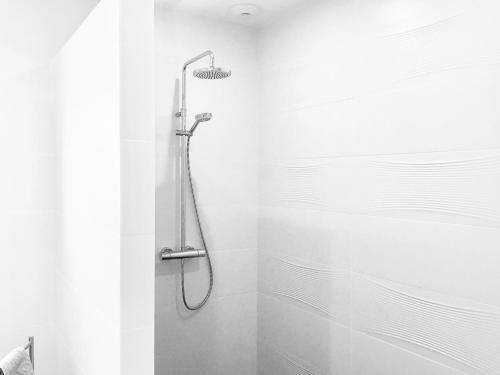 y baño con ducha con cabezal de ducha. en Maison Fleurie en Uhart-Cize