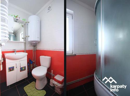 two pictures of a bathroom with a toilet and a sink at Kitica house in Verkhovyna