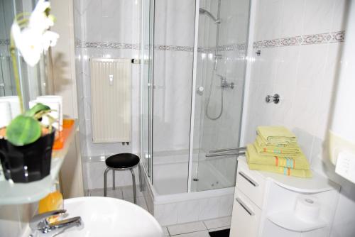 y baño con ducha, aseo y lavamanos. en Apartment Aurachtal Oberreichenbach, en Oberreichenbach