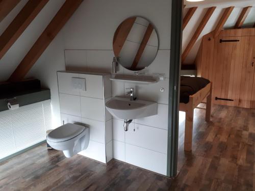 a bathroom with a sink and a toilet and a mirror at Aan de Kwakel in Maasland