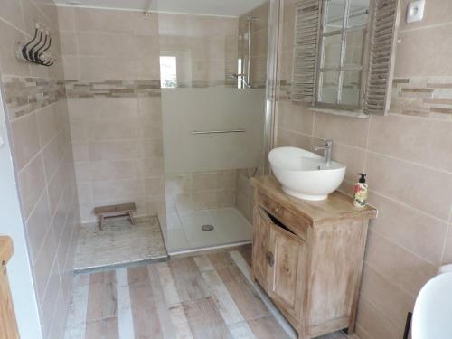 une salle de bain avec un lavabo et une douche dans l'établissement La Maison d’Elise, à Beine