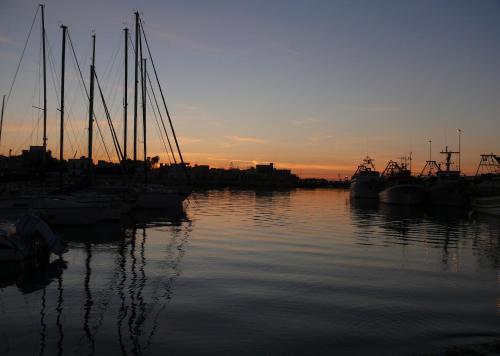 a group of boats docked in a marina at sunset at The Architect in Bari Palese