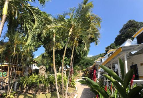 a group of palm trees next to a building at Cabañas Agua Dulce in Providencia