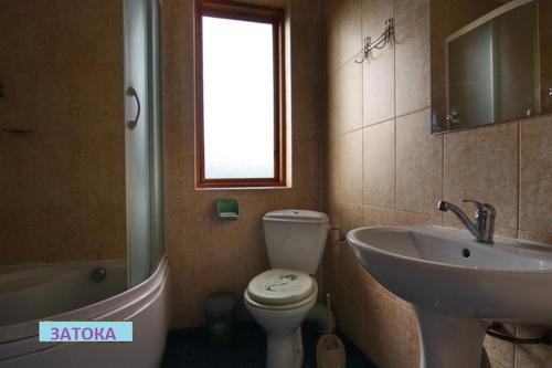 a bathroom with a toilet and a sink at Затока in Svityazʼ