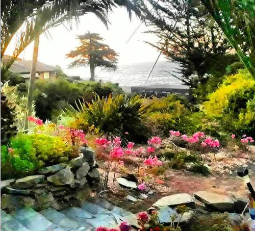 a garden with pink flowers and the ocean in the background at A Hotel Boutique Pelluhue in Pelluhue