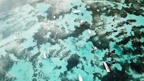 an aerial view of boats in the water at Utopia Rote Lodge in Nembrala
