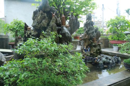 Taman di luar Tam's Homestay