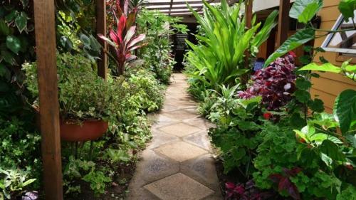 a garden with plants and flowers on a patio at Hostal Vaihere in Hanga Roa