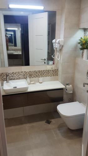 a bathroom with a sink and a toilet and a mirror at New Gudauri Loft II studio 553 in Gudauri