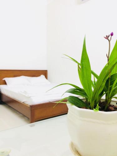 Ένα ή περισσότερα κρεβάτια σε δωμάτιο στο Gia An Hung Guest House