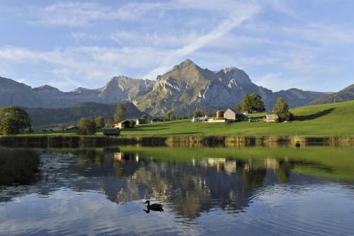 a duck swimming in a lake with mountains in the background at Hotel Sonne in Wildhaus