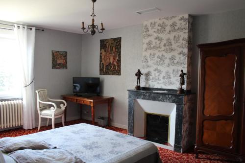 a bedroom with a fireplace and a bed and a television at Carcas Hôtes Guest House in Carcassonne