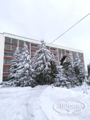 Dibrova – Photos 5