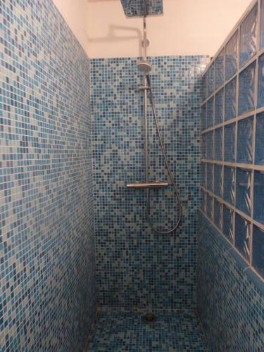 ein Bad mit einer Dusche und blauen Fliesen in der Unterkunft La Campagnarde in Saint-Just-en-Chevalet