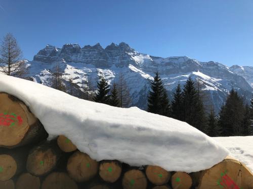 a snow covered log with a mountain in the background at Chalet LYS Apartment 14 Rue Sigma in Champoussin