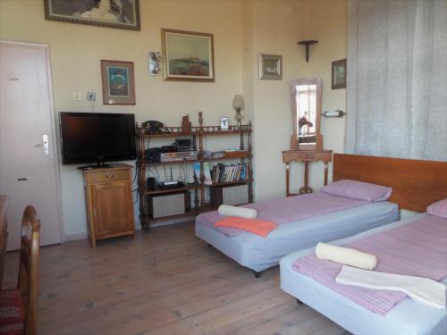 een woonkamer met 2 bedden en een televisie bij Maritsa River Apartment in Plovdiv