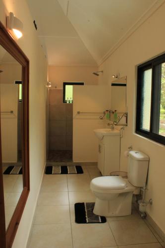 a bathroom with a toilet and a sink and a shower at Kayube Boat House in Livingstone