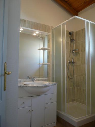une salle de bain avec un lavabo et une douche dans l'établissement Les Hauts du Coustalier, à Doissat