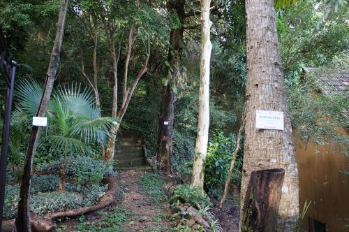 a path in the middle of a forest with trees at Casa Caminho do Corcovado - Pet friendly in Rio de Janeiro