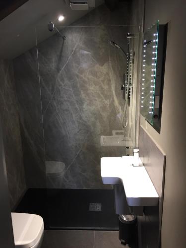 a bathroom with a shower and a sink and a toilet at The Peacock in Bakewell