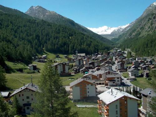 a small town in a valley with mountains at Apartment Rubin by Interhome in Saas-Almagell