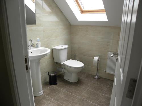 a bathroom with a toilet and a sink and a skylight at Orchard lodge Bantry in Glanbannoo Upper