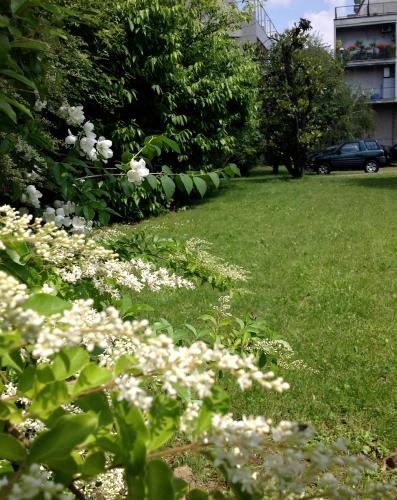 Um jardim no exterior de Hotel Forum