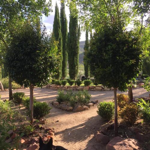 a park with trees and people sitting in the shade at Kleinkloof Farm in Piketberg