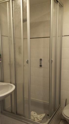 een douche met een glazen deur in de badkamer bij Villa Wilisch in Amtsberg