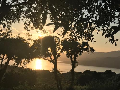 a sunset over a body of water with trees at Résidence île de beauté in Propriano