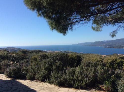 a view of a body of water from a tree at Résidence île de beauté in Propriano
