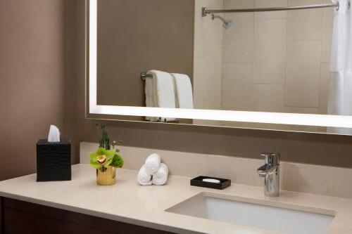 a bathroom with a sink and a mirror at Millennium Minneapolis in Minneapolis