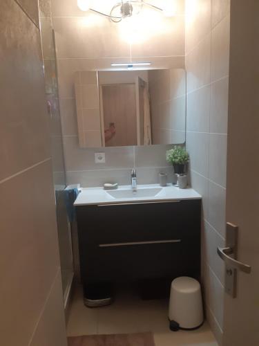 une salle de bain avec un lavabo et un miroir dans l'établissement Appartement Laurent Bonnevay, à Villeurbanne